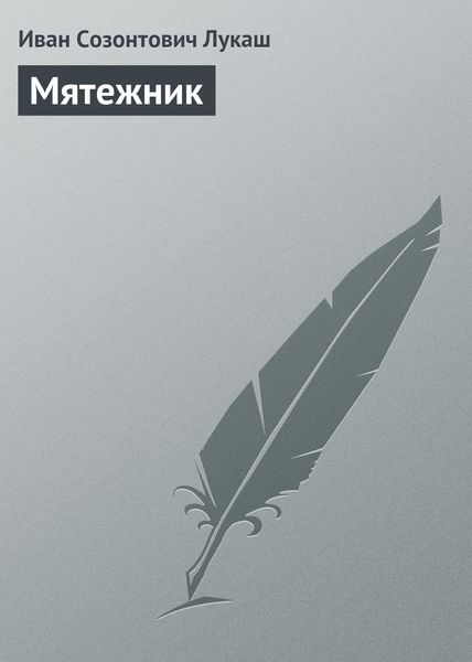 Обложка книги  «Мятежник»