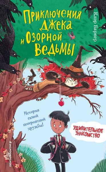 Обложка книги «Удивительное знакомство»