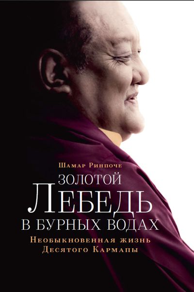 Обложка книги  «Золотой лебедь в бурных водах. Необыкновенная жизнь Десятого Кармапы»