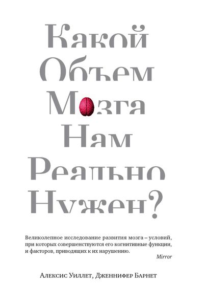 Обложка книги  «Какой объем мозга нам реально нужен?»