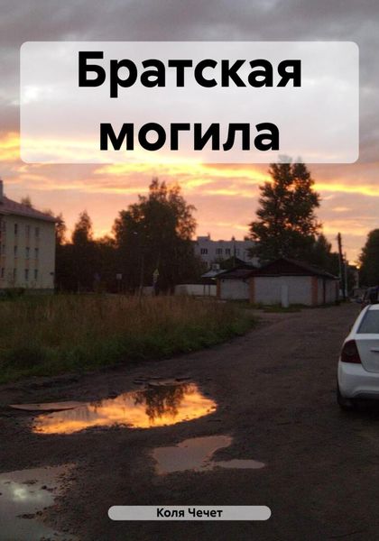 Обложка книги  «Братская могила»