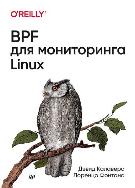 Обложка книги  «BPF для мониторинга Linux»