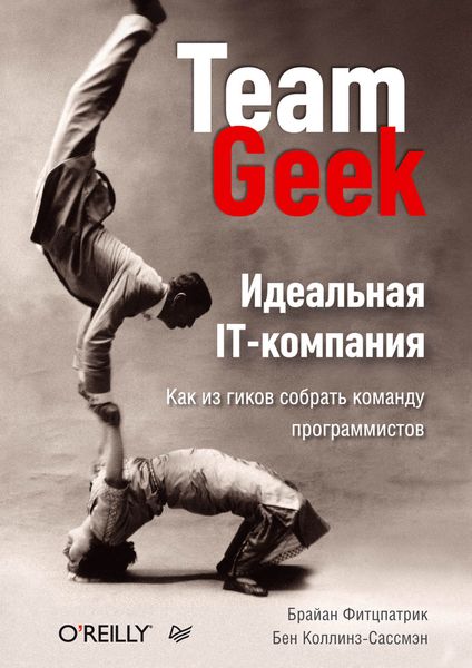 Обложка книги  «Идеальная IT-компания. Как из гиков собрать команду программистов»