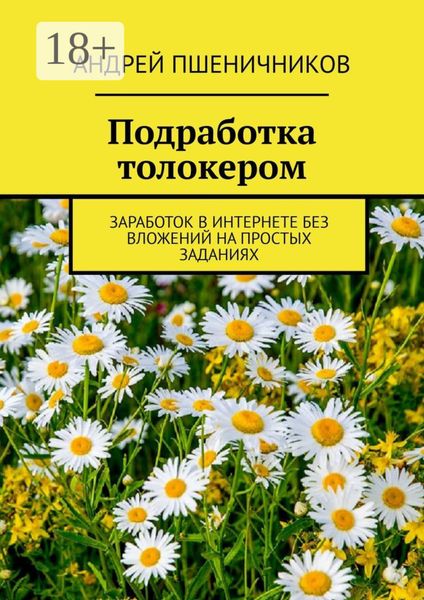 Обложка книги  «Подработка толокером. Заработок в интернете без вложений на простых заданиях»