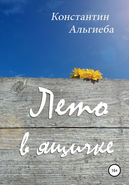 Обложка книги  «Лето в ящичке»