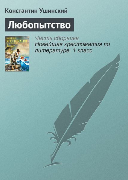 Обложка книги  «Любопытство»