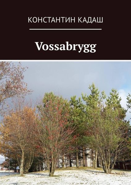 Обложка книги  «Vossabrygg»