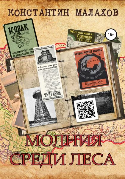 Обложка книги «Молния среди леса»