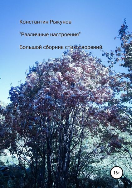 Обложка книги  «Различные настроения»
