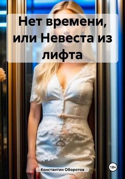 Обложка книги  «Нет времени, или Невеста из лифта»