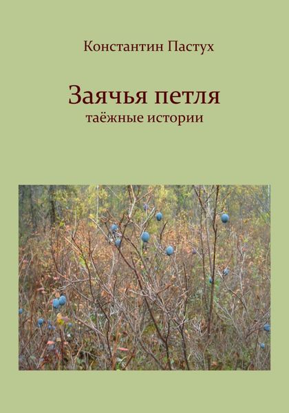 Обложка книги  «Заячья петля»