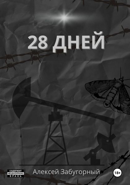Обложка книги  «28 дней»