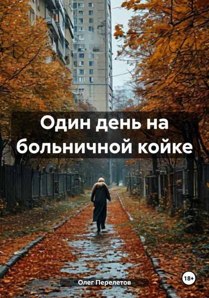 Обложка книги  «Один день на больничной койке»