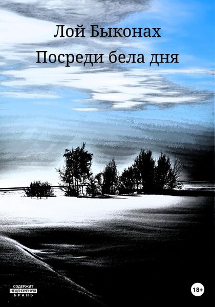 Обложка книги  «Посреди бела дня»