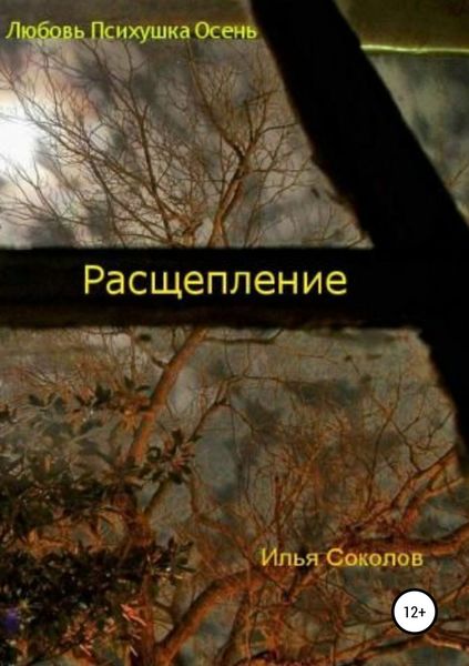 Обложка книги  «Расщепление»