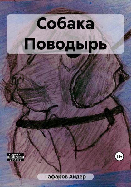 Обложка книги  «Собака Поводырь»