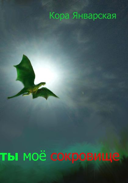 Обложка книги «Ты моё сокровище»