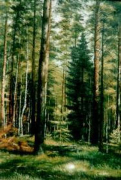 Обложка книги  «Лес – кормилец»