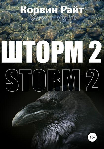 Обложка книги «Шторм-2»