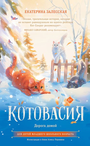 Обложка книги  «Котовасия. Дорога домой»