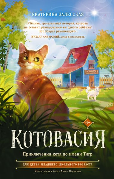 Обложка книги  «Котовасия. Приключения кота по имени Тигр»
