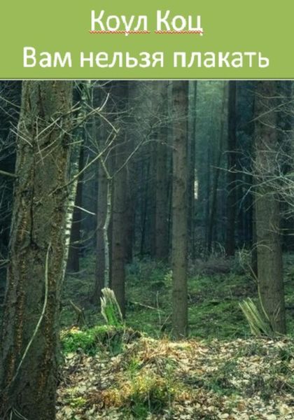Обложка книги  «Вам нельзя плакать»