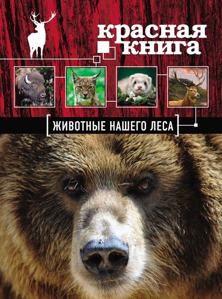 Обложка книги  «Красная книга. Животные нашего леса»