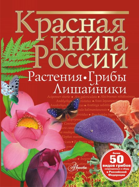 Обложка книги  «Красная книга России. Растения, грибы, лишайники»