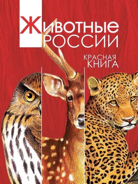 Обложка книги  «Животные России. Красная книга»