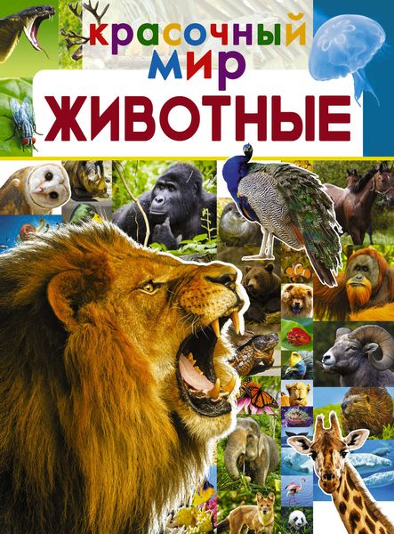 Обложка книги  «Животные»
