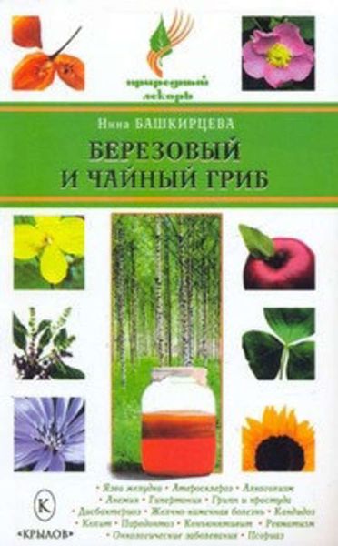 Обложка книги  «Березовый и чайный гриб»