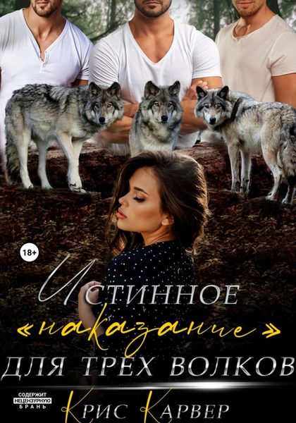 Обложка книги  «Истинное «наказание» для трех волков»
