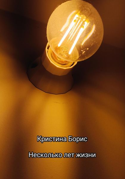 Обложка книги  «Несколько лет жизни»