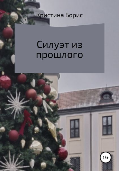 Обложка книги  «Силуэт из прошлого»