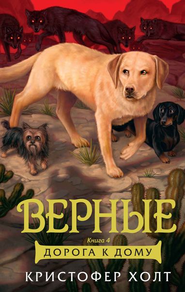 Обложка книги  «Верные. Книга 4. Дорога к дому»