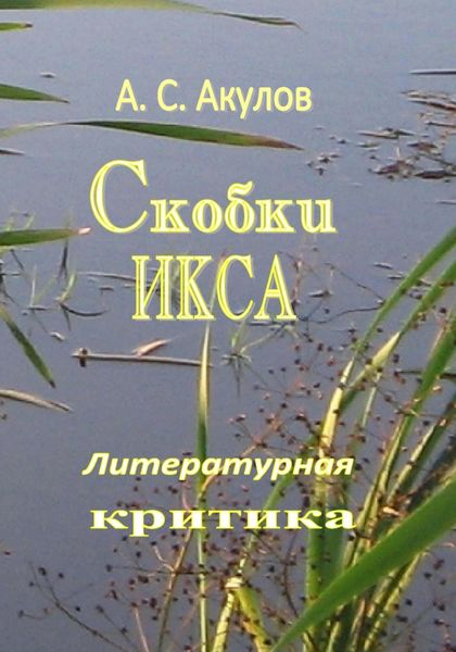 Обложка книги  «Скобки икса. Литературная критика»
