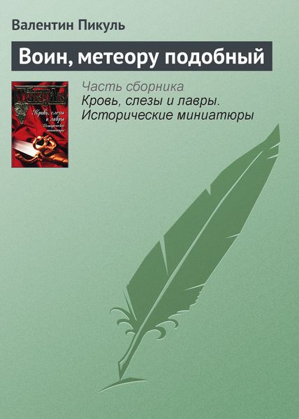 Обложка книги  «Воин, метеору подобный»