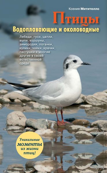 Обложка книги  «Птицы. Водоплавающие и околоводные»