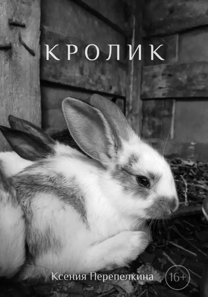 Обложка книги  «Кролик»