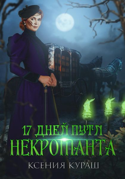 Обложка книги  «17 дней пути некроманта»