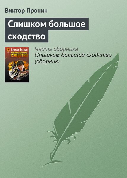 Обложка книги  «Слишком большое сходство»