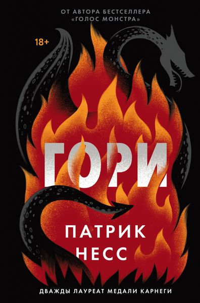 Обложка книги  «Гори»