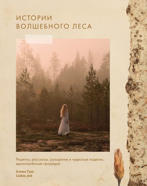 Обложка книги  «Истории волшебного леса. Рецепты, рассказы, рукоделие и чудесные поделки, вдохновленные природой»