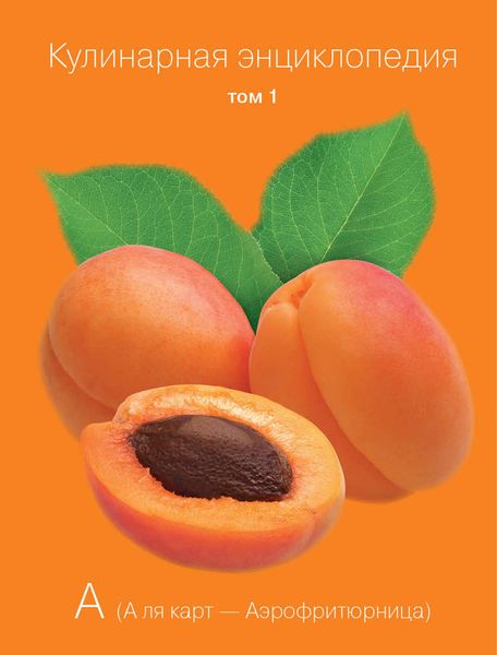 Обложка книги  «Кулинарная энциклопедия. Том 1. А (А ля карт – Аэрофритюрница)»