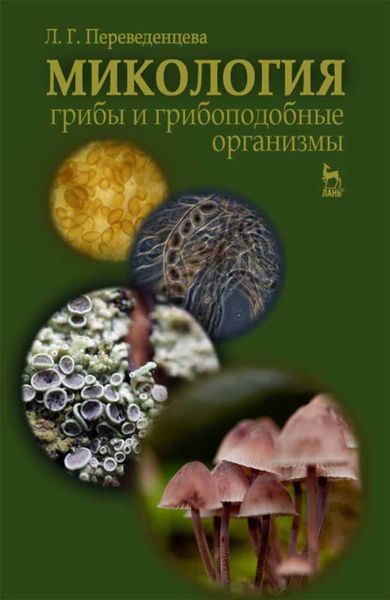 Обложка книги  «Микология: грибы и грибоподобные организмы»