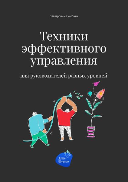Обложка книги  «Техники эффективного управления для руководителей разных уровней»