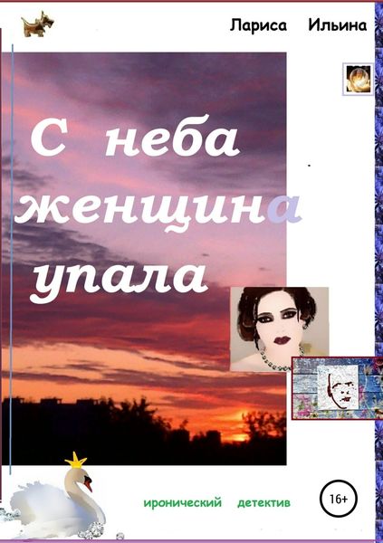 Обложка книги  «С неба женщина упала»