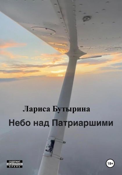 Обложка книги  «Небо над Патриаршими»