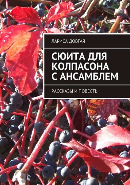 Обложка книги  «Сюита для колпасона с ансамблем. Рассказы и повесть»