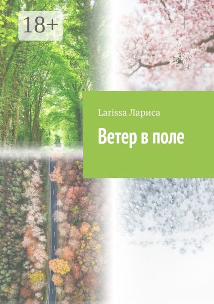 Обложка книги  «Ветер в поле»